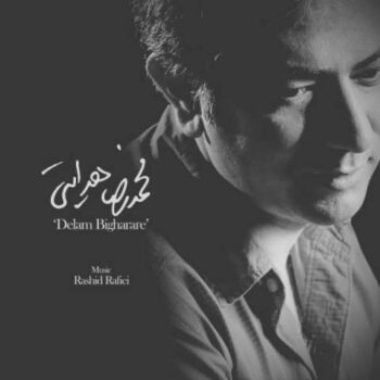 دانلود آهنگ محمدرضا هدایتی   دلم بی قراره
