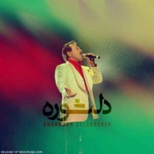 دانلود آهنگ  شاهرخ  دلشوره