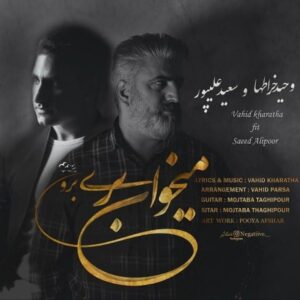 دانلود آهنگ وحید خراطها و سعید علیپور میخوای بری برو