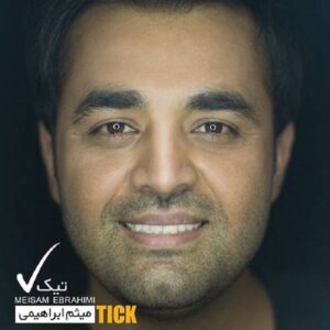 دانلود آهنگ میثم ابراهیمی  دنیای بی رحم