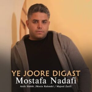 دانلود آهنگ مصطفی ندافی یه جوره دیگه ست