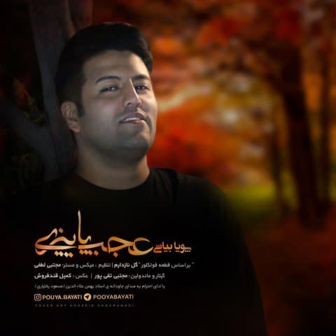 دانلود آهنگ پویا بیاتی به نام عجب پاییزی