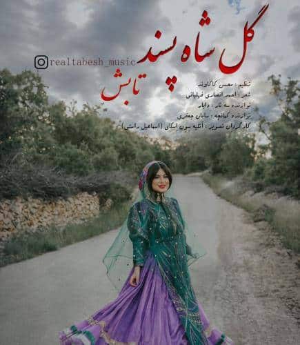 دانلود آهنگ تابش گل شاه پسند