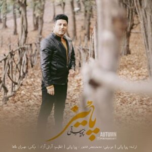 دانلود آهنگ پویا بیاتی پاییز