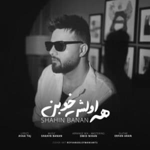 دانلود آهنگ شاهین بنان  همه اولش خوبن
